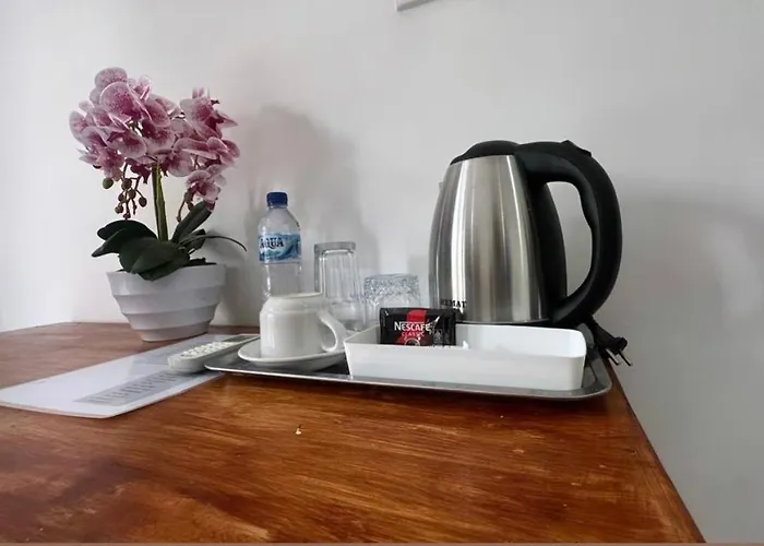 Guest house Yana 3*