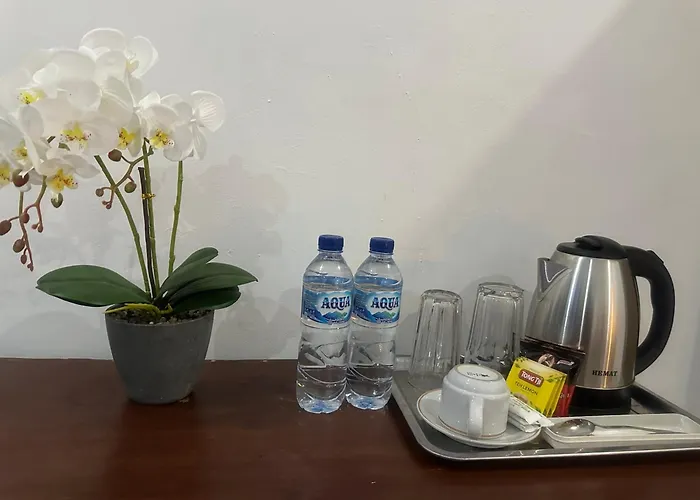 Yana Guest house 3*